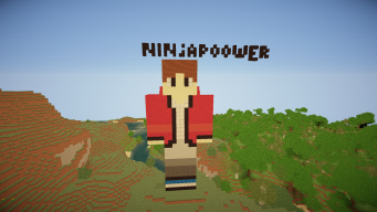 ninjapoower